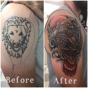 old lion tattoo cover up with colorful bird on shoulder